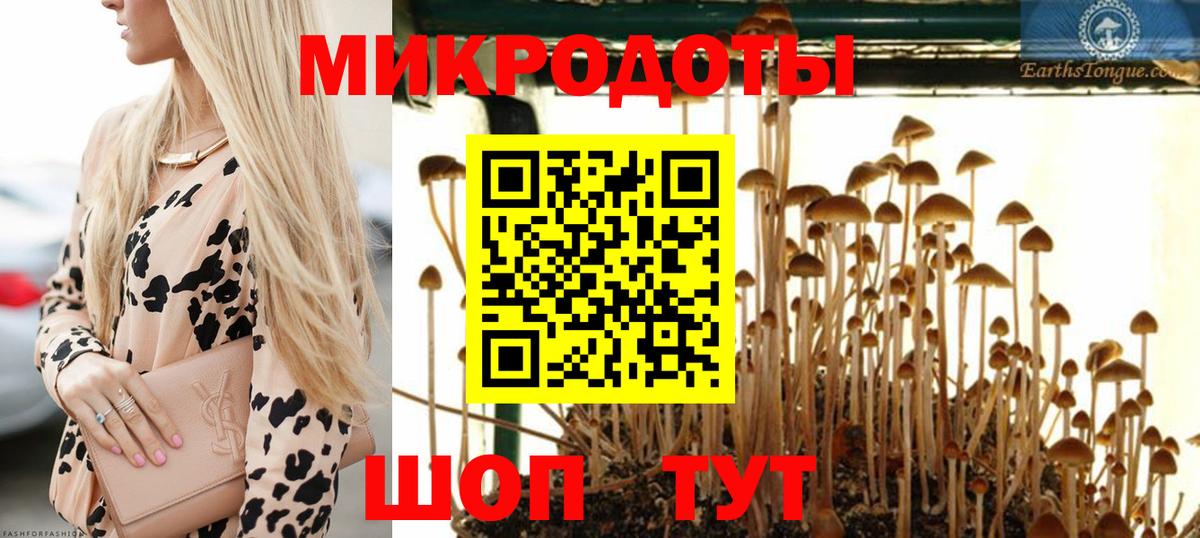 Псилоцибиновые грибы Psilocybine cubensis Троицк