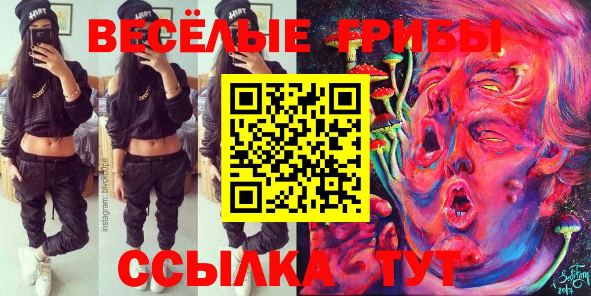 Троицк  где купить наркоту  Вход с VPN  Галлюциногенные грибы мицелий 